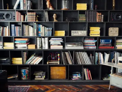 Shelves of books and media